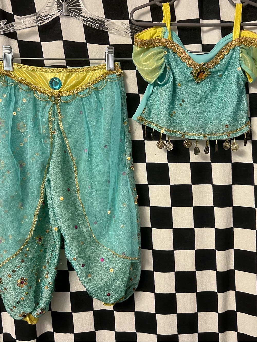 Walt Disney World Princess Jasmine Aladdin Costume